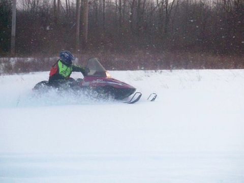 1996 Arctic Cat Puma photo