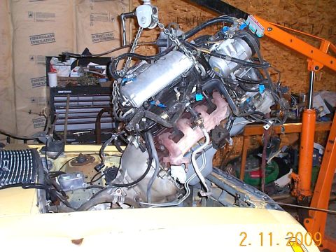 1982 Ford Mustang photo