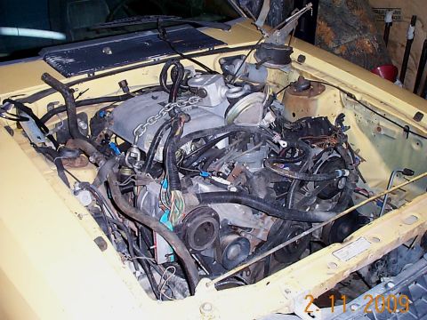 1982 Ford Mustang photo