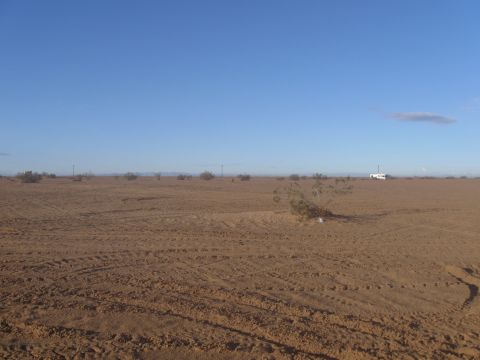 2004 Jeep Wrangler - A wide, flat desert landscape under a clear blue sky. Tire tracks are visible in the sandy ground, and a few sparse bushes dot the terrain.…