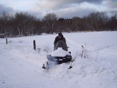 1990 Arctic Cat El Tigre EXT