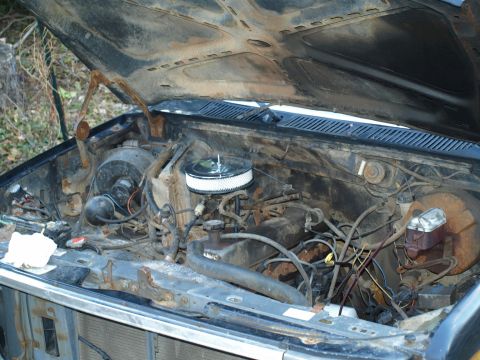 1986 Ford Bronco - Engine bay overview