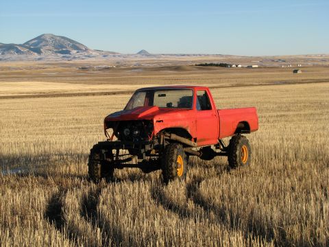 1982 Ford F-150 photo
