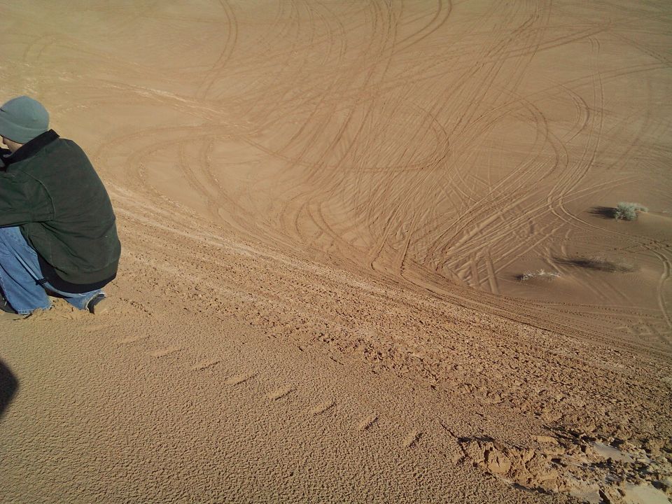 Person sitting on a sand dune with tire tracks.