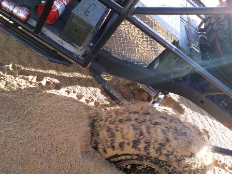 2004 Jeep Wrangler - A close-up, low-angle shot shows the spinning tire of an off-road vehicle kicking up sand. The vehicle's frame, roll cage, and storage boxe…