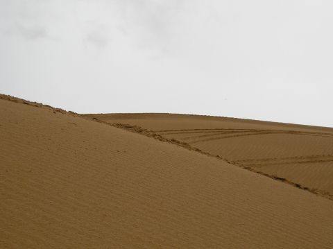 1986 Toyota Hilux - Tire tracks mark the sandy terrain of rolling dunes under a cloudy sky.