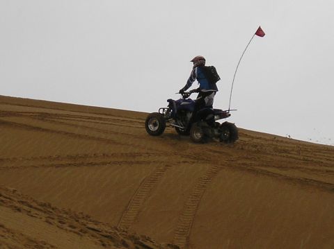 1986 Toyota Hilux - An ATV rider navigates a sandy slope under an overcast sky.