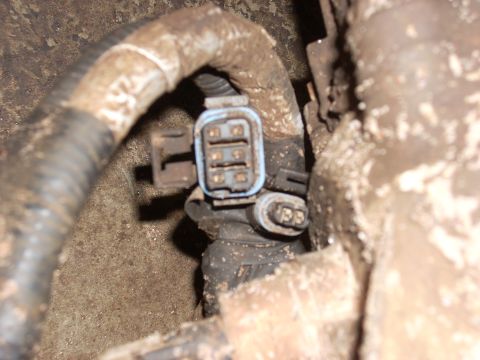 2000 Chevrolet Tahoe - Dirty electrical connector and wiring harness detail, likely from a vehicle's engine bay.