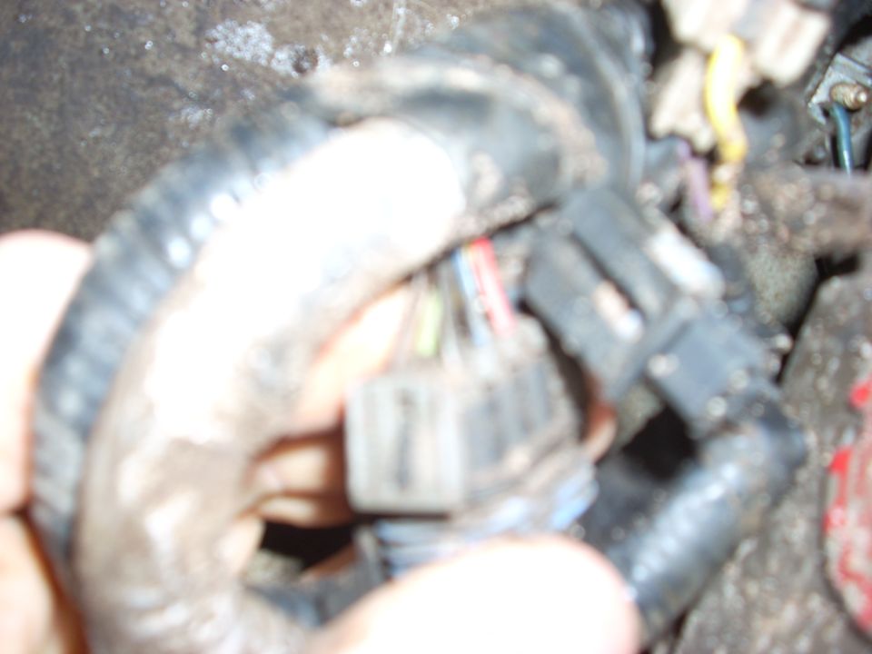 close-up of a vehicle's wiring harness with connectors and wires