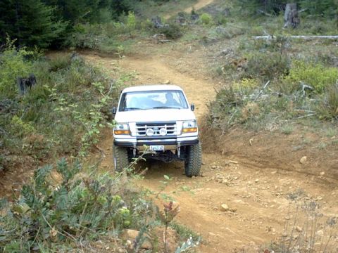 1995 Ford Bronco - 1995 Ford Bronco navigates a rough dirt path through a forest.