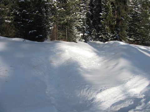 1999 Arctic Cat Powder Special 600 EFI “Pickle”