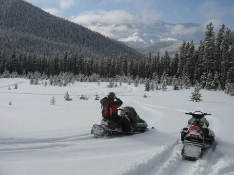1999 Arctic Cat Powder Special 600 EFI “Pickle”