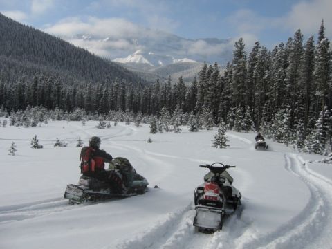 1999 Arctic Cat Powder Special 600 EFI “Pickle”
