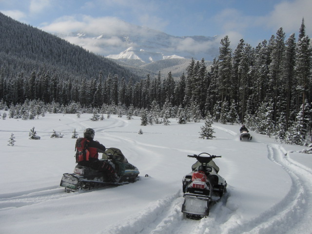 Two snowmobiles parked in snow with a third in the distance, surrounded by pine trees and mountains