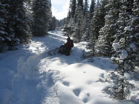 1999 Arctic Cat Powder Special 600 EFI “Pickle”