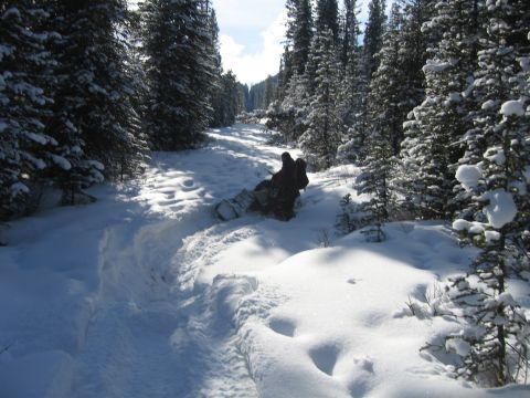1999 Arctic Cat Powder Special 600 EFI “Pickle”