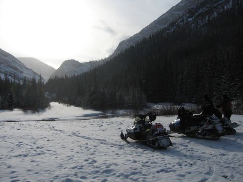 1999 Arctic Cat Powder Special 600 EFI “Pickle”