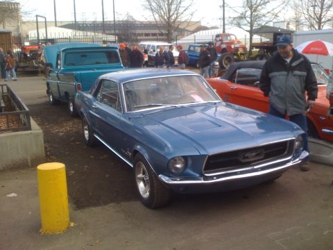 1983 Ford Bronco - A blue Ford Mustang is parked in front of a blue pickup truck, with people milling around in the background.