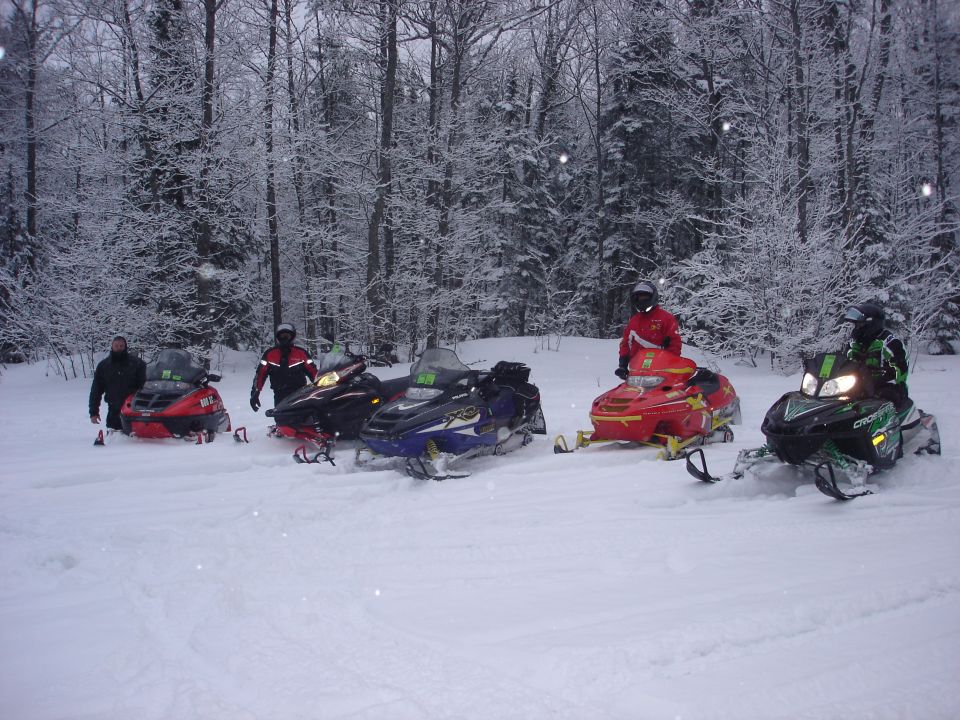 Five snowmobiles parked in a snowy forest with riders.