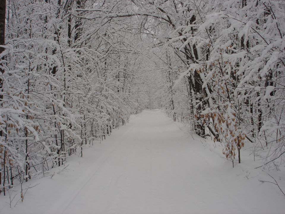 Snowy path through a forest in winter.