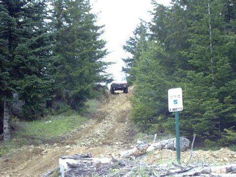 1995 Ford Bronco - Hawgs Back in 2wd