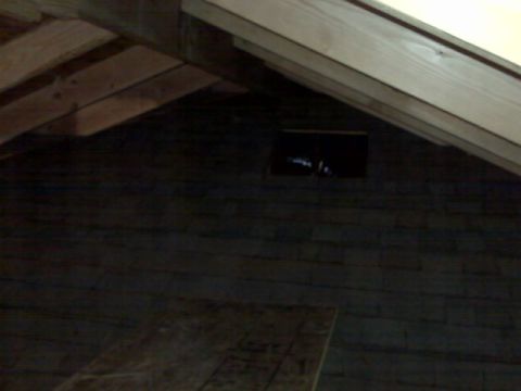2005 Ford Mustang - This image shows the interior of an attic with wooden beams and dark-colored roof shingles. There is a small, dark rectangular opening visi…