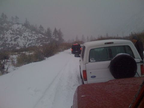 1979 Ford Bronco - Several vehicles are driving in a line on a snow-covered road with trees and hills in the background.