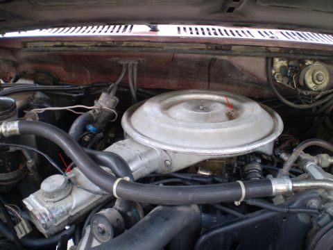 1982 Ford Bronco - Close-up of an engine bay, focusing on the air cleaner and associated hoses.