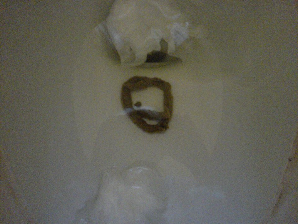 Toilet bowl with feces and toilet paper, Supermotors.net logo in lower right corner