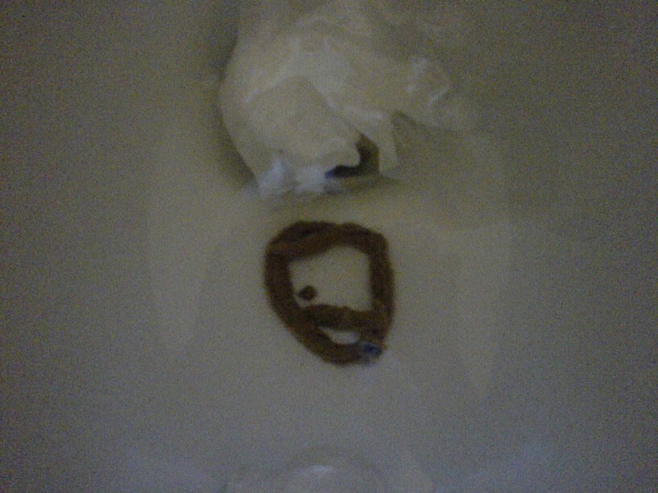 Toilet bowl with feces and plastic bag