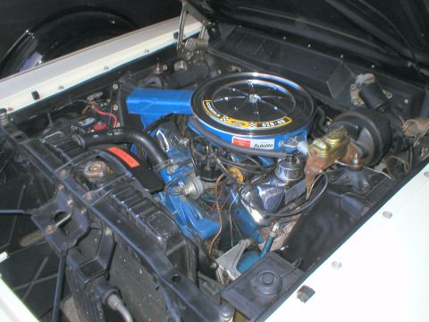 1983 Ford Bronco - The second part of the set: a restored white Talladega that he also drives. With a blue one, he'd finish the set.
