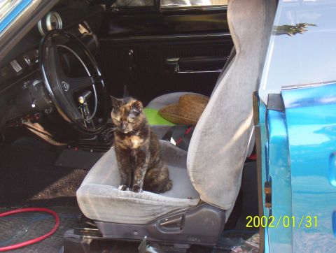 2003 Ford Crown Victoria - Pepper. Sitting in my Dodge Coronet. She passed away last Spring. R.I.P. Pepper.