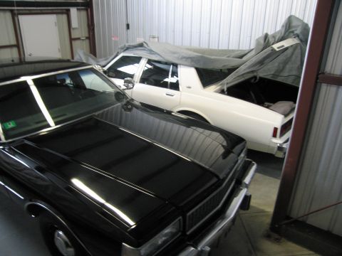 1991 Ford LTD Crown Victoria - Photograph of black and white sedans in a storage building, not a technical document.