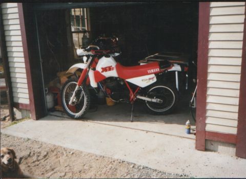 1995 Ford Mustang photo