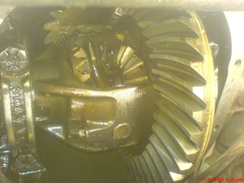 1992 Ford Crown Victoria - A close-up view of the internal gears of a vehicle's differential. The gears are covered in oil and show signs of wear.