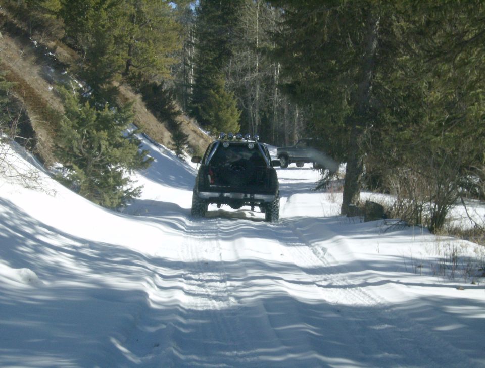 Black Ford Bronco driving on a snowy road through a pine forest, rear view.