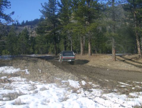 1990 Ford Bronco photo