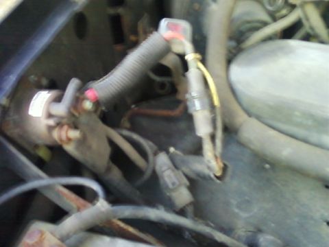1996 Ford Bronco - Close-up view of the engine bay wiring harness, showing various connectors and protective tubing.