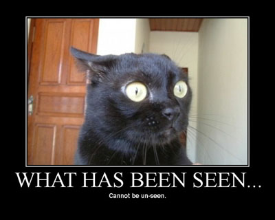 2004 Chevrolet Silverado 1500 - A black cat appears shocked by something it has witnessed, as indicated by its wide eyes and the meme text.