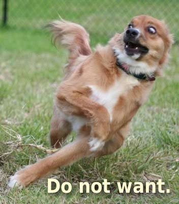 2004 Chevrolet Silverado 1500 - A dog appears startled or excited as it runs across a grassy area, with text overlayed on the image.