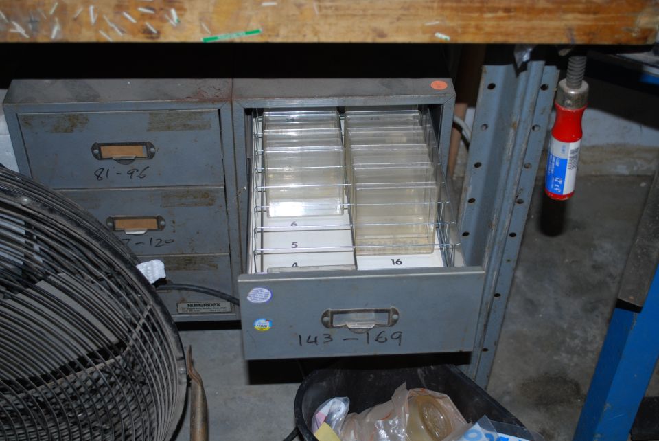Open gray Numberdex filing drawer labeled 143-169 under a garage workbench