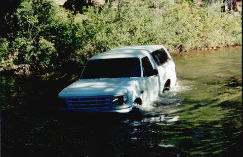 1996 Ford Bronco - A white SUV navigates a shallow river surrounded by dense foliage.