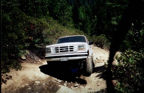 1996 Ford Bronco - A white Ford Bronco navigates a wooded dirt path, its front grille and lifted tires clearly visible.