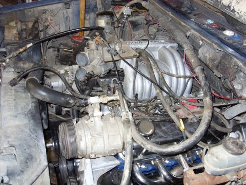 1988 Ford Bronco - A close-up view of the engine bay of a 1988 Ford Bronco, showing the intake manifold, air conditioning compressor, and various hoses and wi…