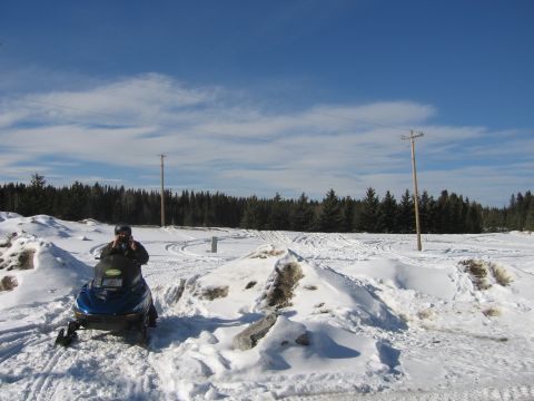 1999 Arctic Cat Powder Special 600 EFI “Pickle”