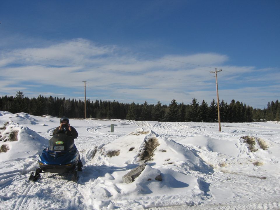Person on a blue snowmobile in a snowy field with trees and telephone poles.