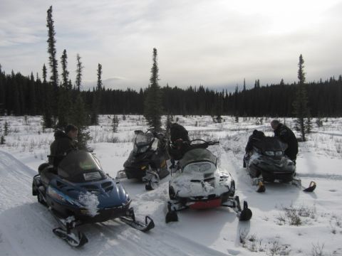 1999 Arctic Cat Powder Special 600 EFI “Pickle”