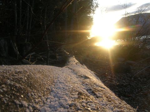 1996 Ford Bronco - A fallen log covered in frost lies on a rocky shore with the sun setting behind trees.