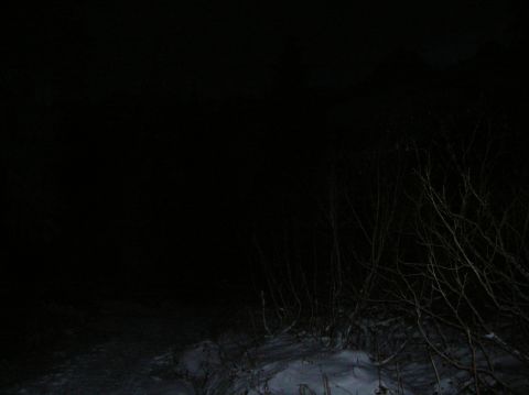 1996 Ford Bronco - A dark, nighttime scene shows snow-covered ground with bare branches of trees in the foreground and middle ground. The background is comple…