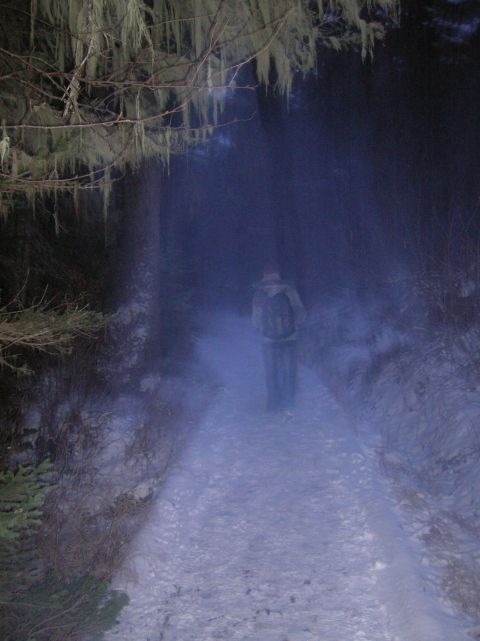 1996 Ford Bronco - A person walks down a snowy path at night, surrounded by trees and fog.
